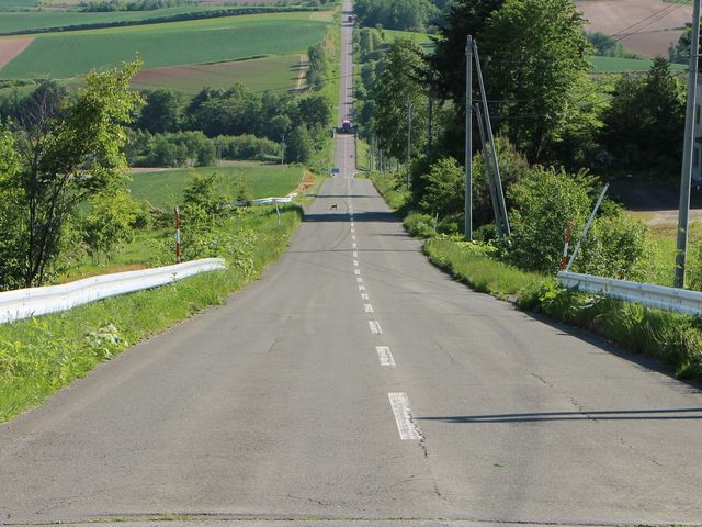 ���H�͋���_�W�F�b�g�R�[�X�^�[�̘H