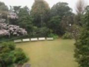 ߂̂₳̏cwفEHwق̓eʐ^2