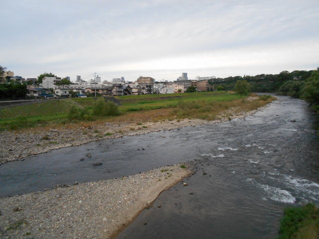 �L����_�L����