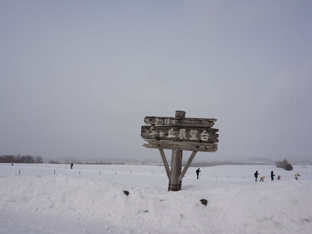 ��i�F�ł�_�����ۂ�r���u�W�]��