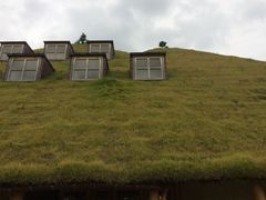 yukõR[i ߍ]ւ̓eʐ^1