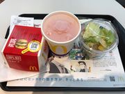 topology����̃}�N�h�i���h�t�����C�g�[���[�J�h�[�X�̓��e�ʐ^1