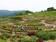 micky7777̂̂΂牀̓eʐ^1