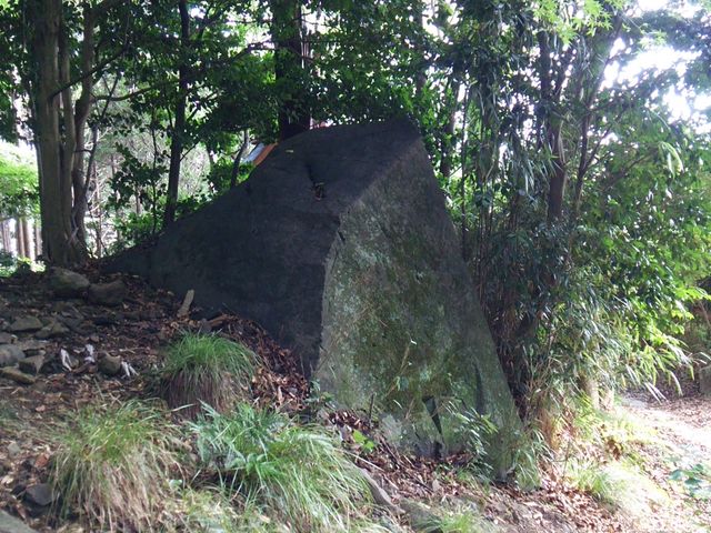 ɉČ֍B̊px̎ʐ^ȊOAʂĂ邩Ȃ_o_