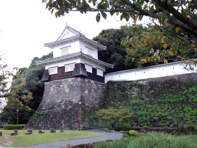 �O��_�蓇���