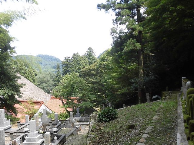 �ڂ肳��̍��o�H��̕�̓��e�ʐ^3