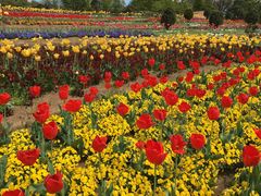 qf̎Rt[Z^[EnCW̑ւ̓eʐ^1