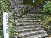 �ڂ肳��̍��o�H��̕�̓��e�ʐ^1