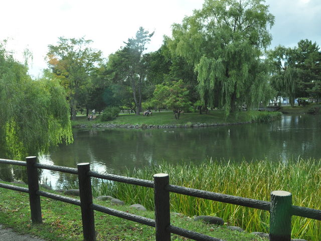 ���̗΂ƒr���ǂ��˂�_��������