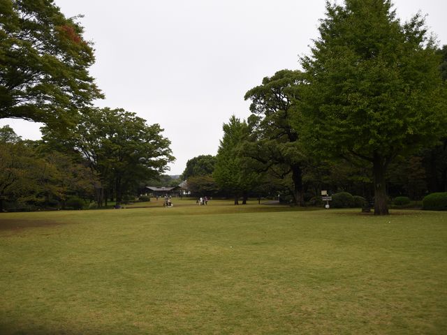 �����͍L�X�B�q���B���������グ�đ������Ă܂����B_�k�̊ی���