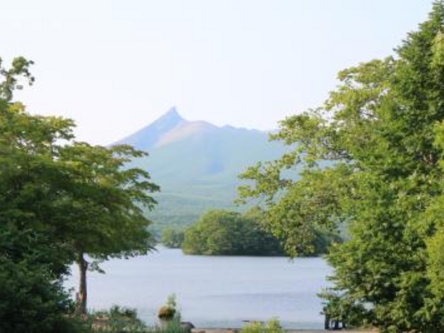 ����������_����������