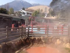 �T�L����̂��܂ǒn���ւ̓��e�ʐ^1