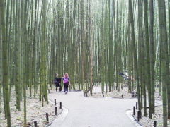 GbZC̒|т̓ւ̓eʐ^1