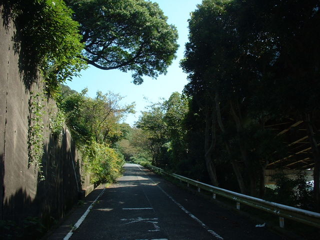 �o���_�߂�������̍�