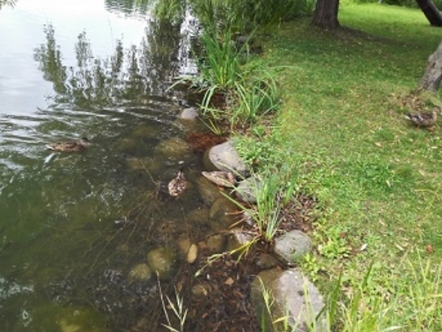 ��������_��������