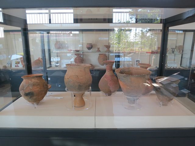 A\j[̉lsOalÊق̓eʐ^1