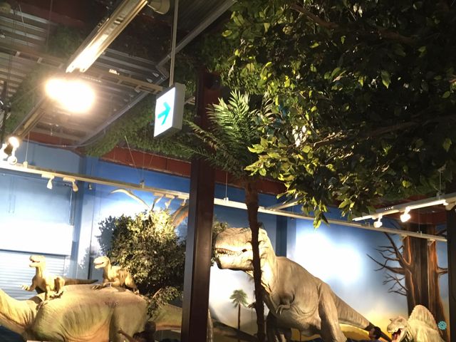 Ƃ񂿂ƃgg̑ÃXg@_Ci\[̓eʐ^1