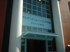 Ԃ񂳂̃IS[~[WAi`ւ̓eʐ^1