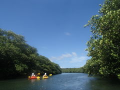 ҁ[񂳂̐\AWcA[KAGUYAւ̓eʐ^1