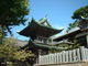 花ちゃんさんの甲宗八幡神社への投稿写真2