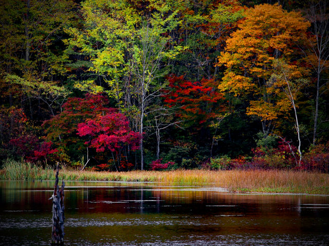 �ӏH�̋��r_���r