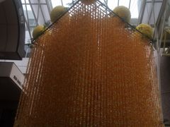 񂳂̐䎵[܂ւ̓eʐ^1