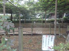 TrL̙֑ɗ̓ւ̓eʐ^1