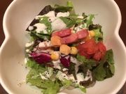 �悵������̂r���������Q�̓��e�ʐ^1