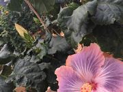 nanäɍ]nCrXJX̓eʐ^2