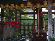 TANY����̎u���ꗢ�˂̓��e�ʐ^5