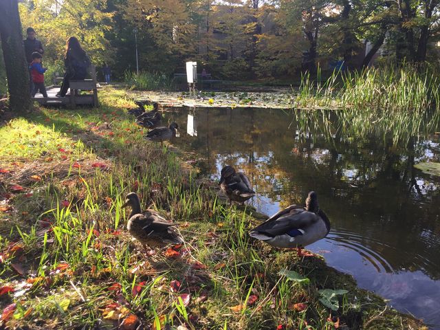 �i���X�̑O�̒r_�k��C�`���E����