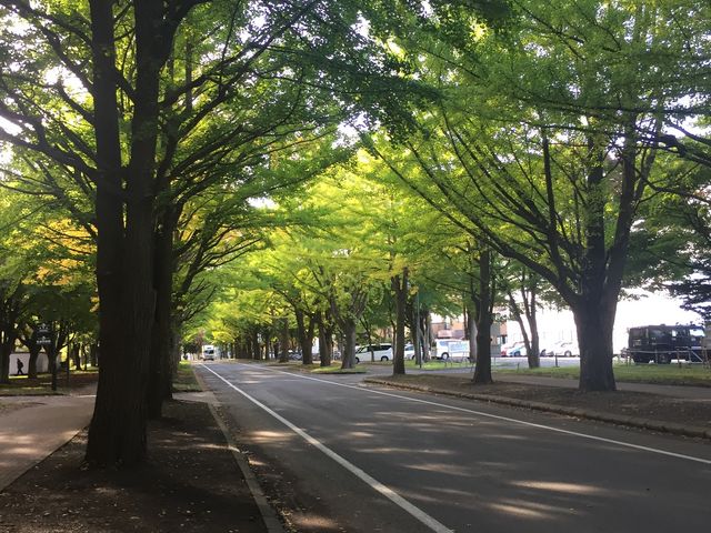 �܂���_�k��C�`���E����