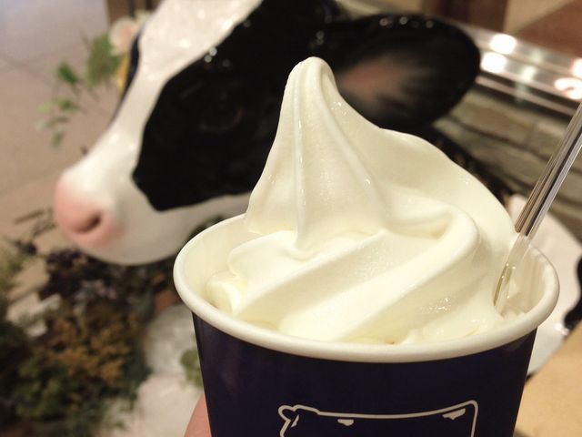 rĂĂ킢_X_[OgVbv@VwrCoCoLo ٓX