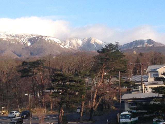 �ߐ{�A��_�ߐ{����