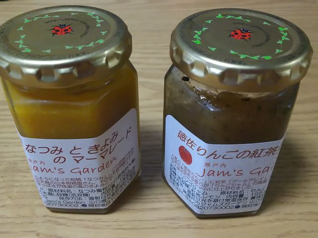 �ɂ�񂱐搶����̐��˓��W�����Y�K�[�f���̓��e�ʐ^1