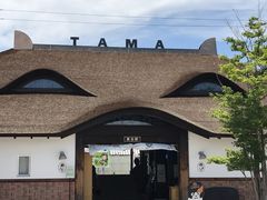 Ђ̋Muwi܃~[WA jւ̓eʐ^1