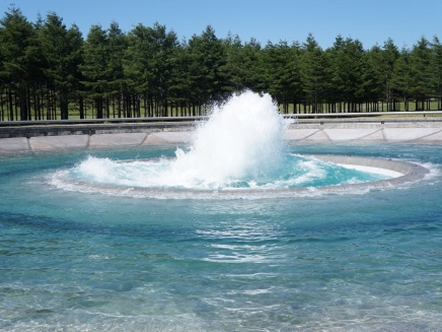 �C�̕���_���G��������