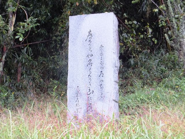 ڂ炳̔mԋiaXj̓eʐ^3