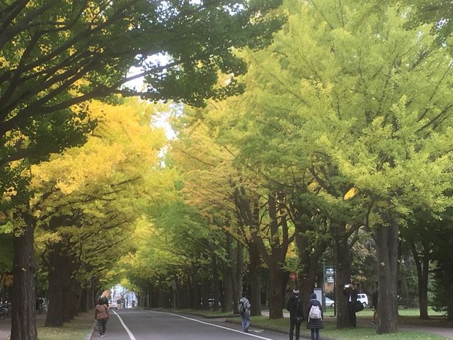 2017�N10��17�����__�k��C�`���E����