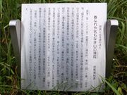 ڂ炳̔mԋiaXj̓eʐ^1