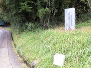 ڂ炳̔mԋiaXj̓eʐ^2