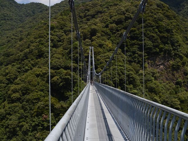 �ӊO�ɐl�͏��Ȃ�����_�Ɨt��݋�