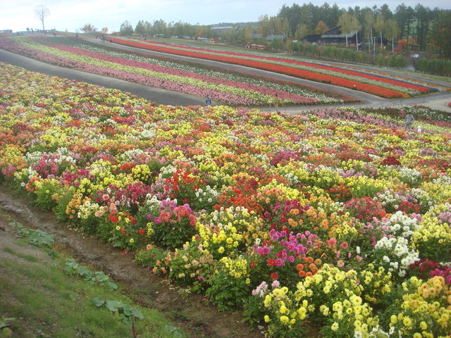 �������ԁA�݂�܂�_�l�G�ʂ̋u