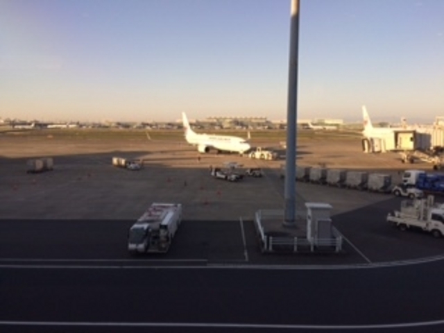 s@܂B_GA|[gEWikj Hc`Pr