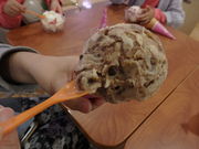 ̃T[eBACXN[CI[a̎RX̓eʐ^1