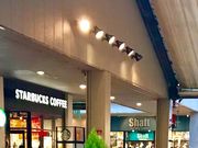 ΂̃X^[obNXER[q[ }mAVeBEsAEH[NX̓eʐ^1