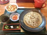 悤̎łΏ Tނ̓eʐ^1