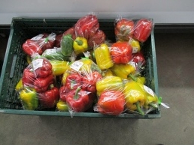 ɂ񂳂̓̉w剪YZ^[̓eʐ^3