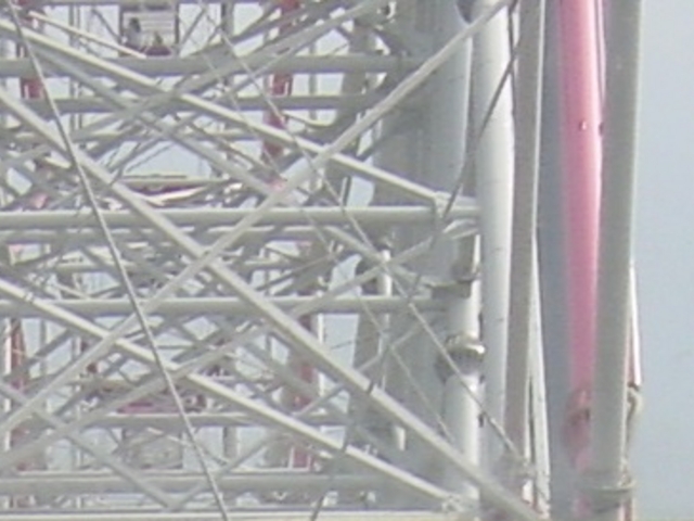 �ϗ���_�_�C���ƉԂ̑�ϗ���