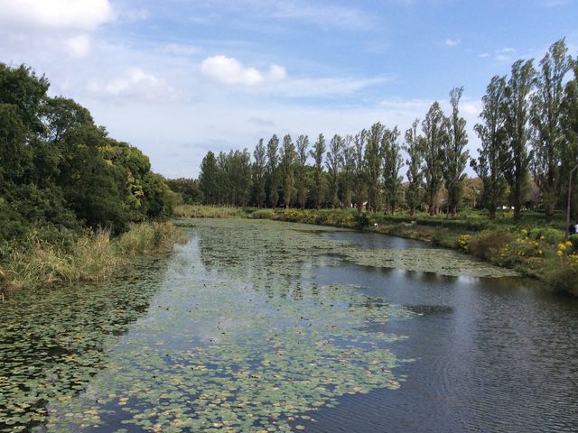 �@�̗t�������ԑ���_�s����������